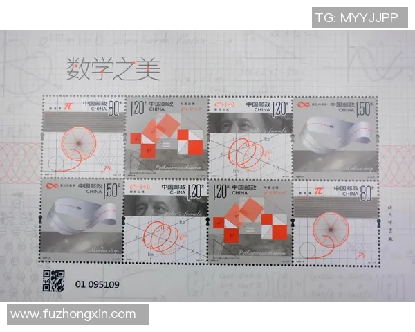 与陈丽畅谈她的排球生涯与心路历程的精彩对话