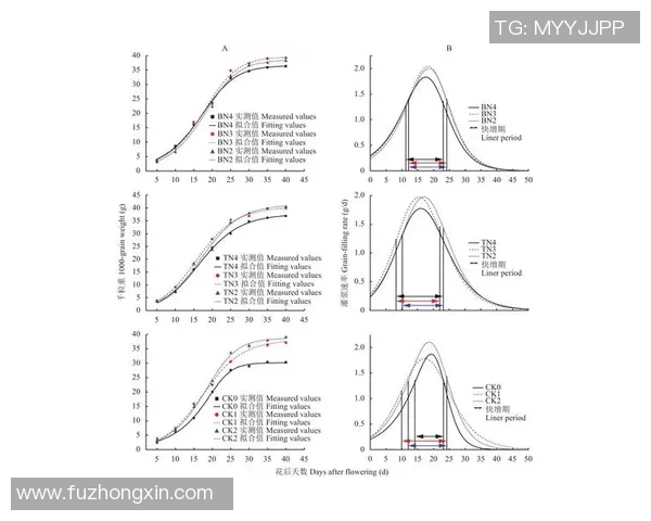 重庆网球队技术表现分析及其对比赛成绩的影响探讨