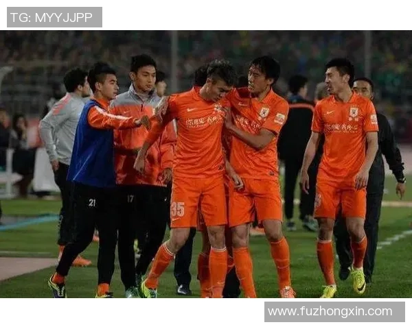 杭州排球队技术争议引发热议球迷与专家各抒己见探讨战术与表现